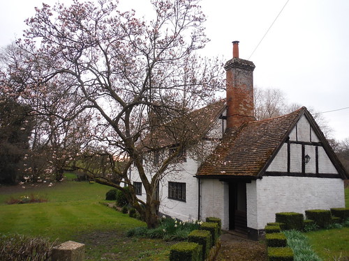 Cottage in Midgham SWC Walk 260 Aldermaston to Woolhampton [Midgham Station] (via Frilsham)