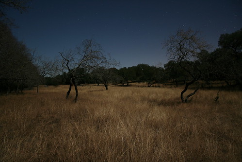 longexposure nature field night rural stars texashillcountry