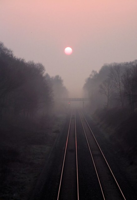 Dawn Mist on the Chiltern Line