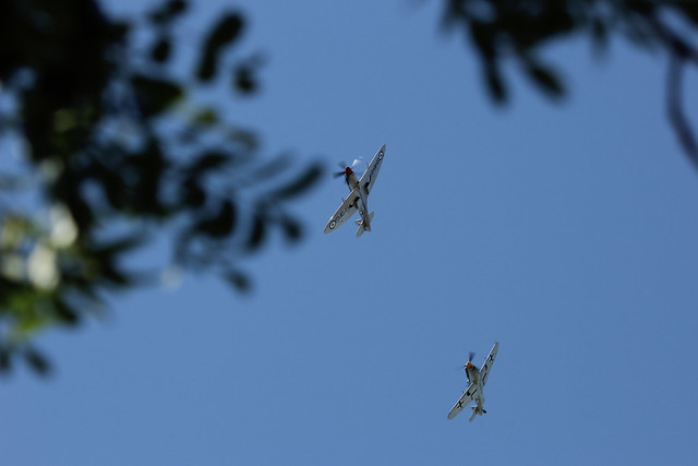 Spitfire FR Mk.XVIIIe SM845 and Buchón HA-1112 “Yellow 10” reenacting a dog fight above English fields