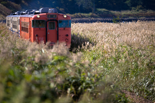 JR East, Gono Line #001 - The Sea of Silver Grass
