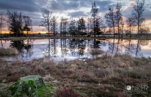Waterreflections ⛅️ by melvinjonker, morning trees light sun holland tree nature beautiful clouds sunrise reflections landscape photograp