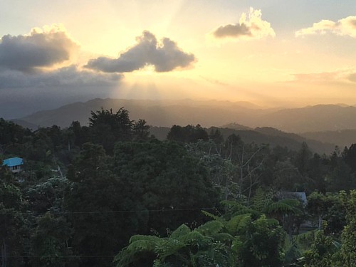 Our last sunset in the jungle. 😢🌞🌿🌴🌳🍃🐍💚 by elizajanecurtis, square squareformat iphoneography instagramapp uploaded:by=instagram foursquare:venue=4bab9dfaf964a5