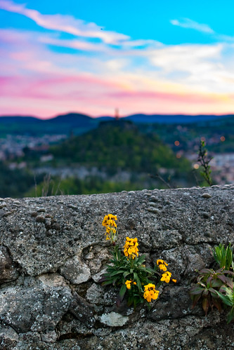 La plaine de Rome by nicolas.vogt, le puy en velay sunset sky flowers cityscape statue haute loire auvergne france nikon d5300