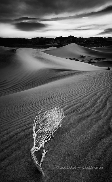Death Valley Dunes, vertical