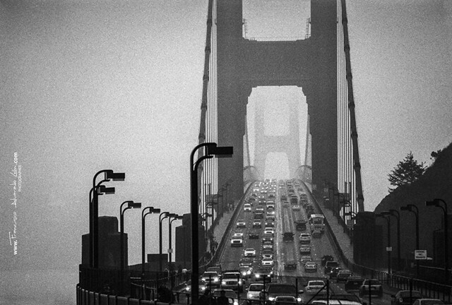 Fog in Golden Gate