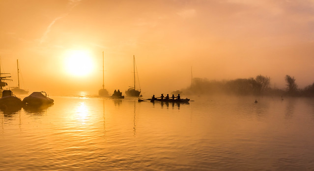 morning row in the mist