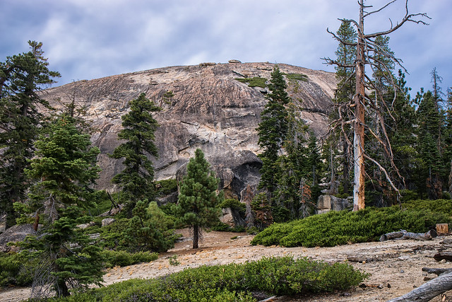 Hiking Trail in Yosemite
