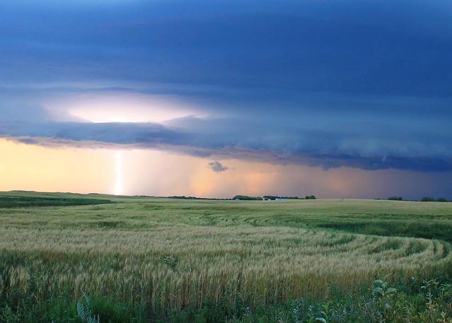 Summer Storm.  North of Erskine, Alberta.