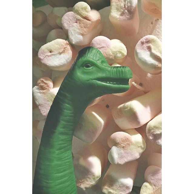 King Marshmallow 🐊 #Dinosaurs #marshmallow #sweets...