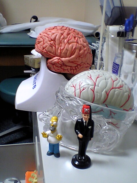 Homer and the Shriner go to the neurologist