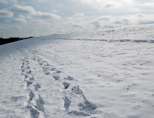 winter snow lost stuck libertypark afsdx55200mm thatfunlibertyparkmisadventure