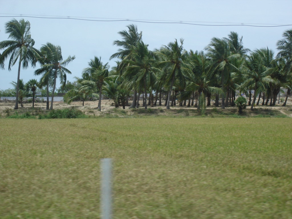 Paradise