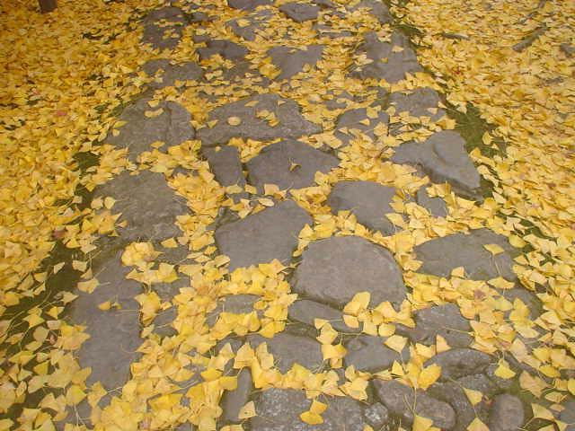 A stone pavement