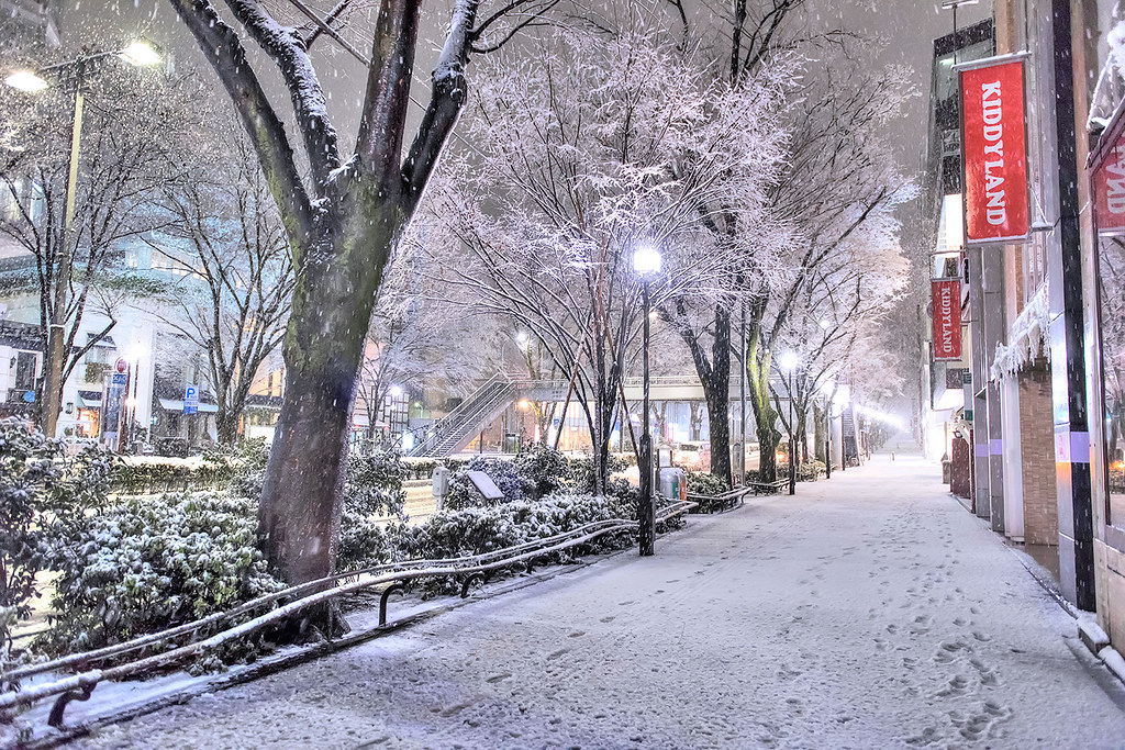 Cold Tokyo Tokyo Snow 2016 | Snow on the streets of Harajuku and Omotes… | Flickr