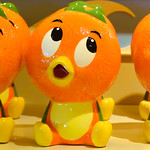 The Happy Oranges