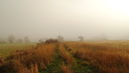 disappearing in the clouds... by JoannaRB2009, Długopole Dolne, Lower Silesia, Polandroad morning autumn trees mist fall nature grass fog clouds la