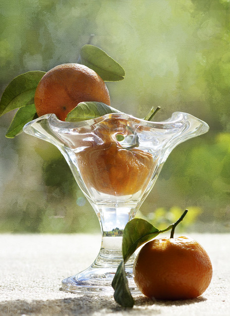 Simple Pleasures - The taste of oranges