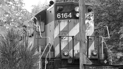 844steamtrain potb 6164 emd sd9 timber oregon pacific northwest diesel train locomotive engine woods forest nature outdoors black white photo photography transportation travel adventure tourism events western trees vegetation metal machine abandoned flickr flickrelite hdr science technology history canon powershot sx40 hs digital video camera cliche saturday autumn season equipment america burlington northern railway railroad rusty scrapped tiger stripes paint pattern most popular google youtube redbubble favorite favorited views viewed trending relevant