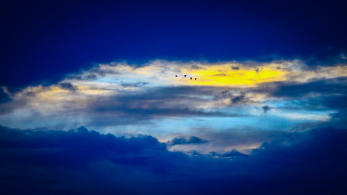Four Little Birds - Canon 400D + 50mm Nikkormate Lens - Adobe Lightroom Android by NextCloser, sunset sky sun sol portugal birds clouds paint nuvens hd hdr davidnunes