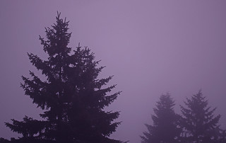 Sonntag, 7Uhr. Opa und ich rutschen aufgeregt im gefrorenen rosa Nebel rum, weil ein Alpenausflug geplant ist.