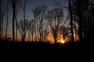 Sunset behind the trees...