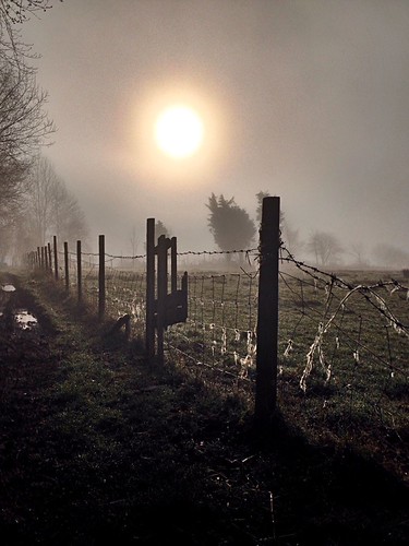 Morning mist by roverkev, 