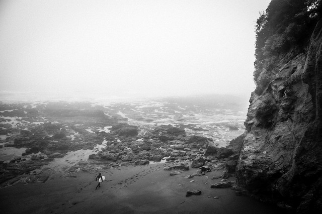 Surf and fog