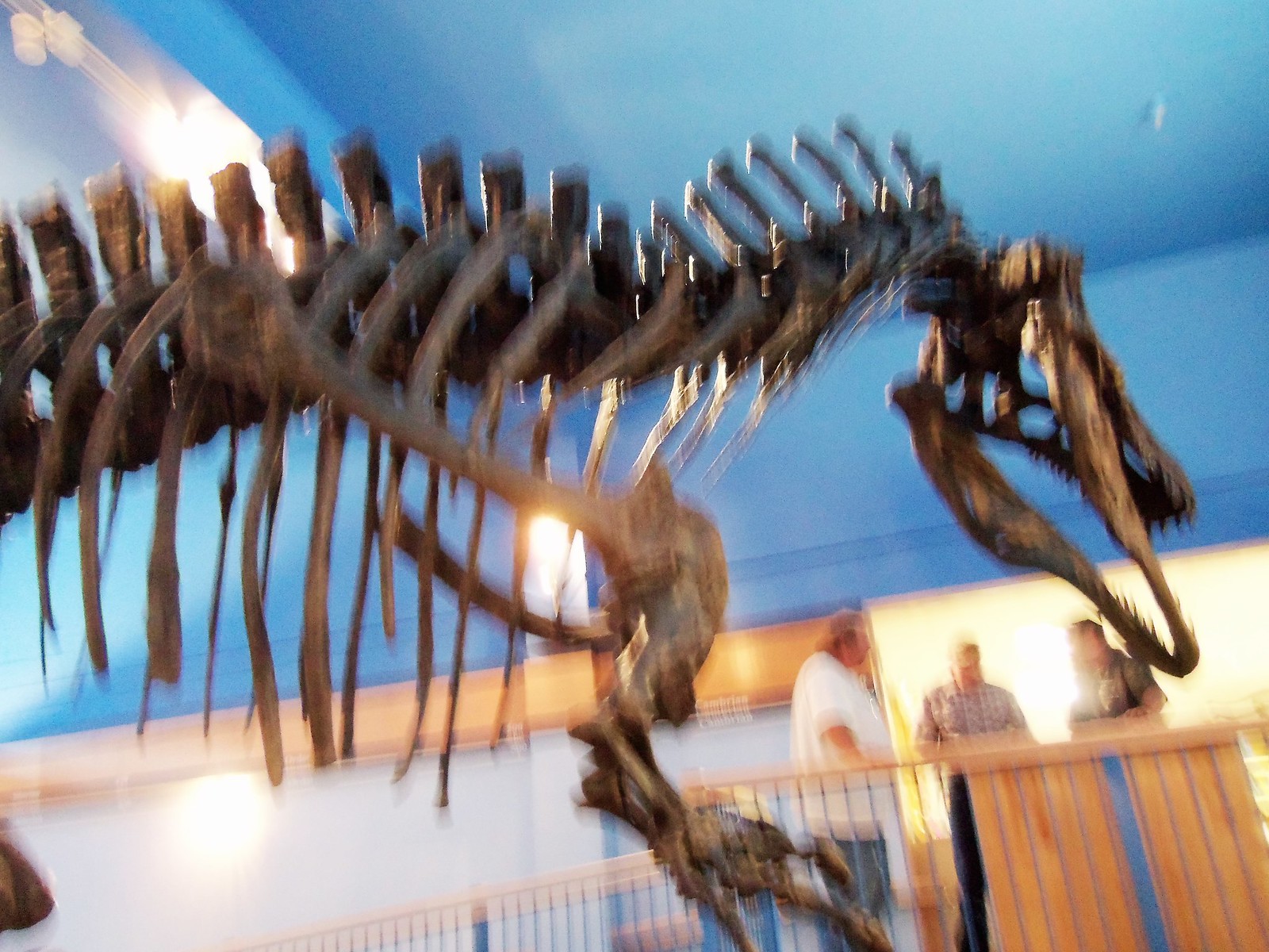 Acrocanthasaurus