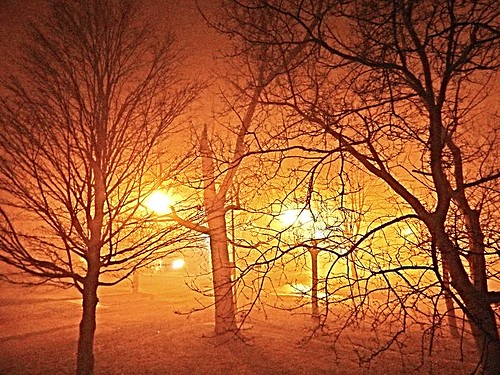 light fog night evening
