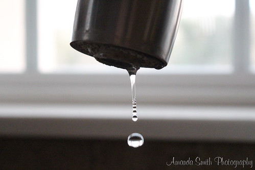 Week 4 - Water | by amjosmith