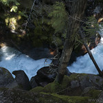 Avalanche Creek through Avalanche Gorge