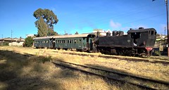 Charcoal train in Asmara