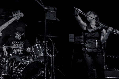 Lost Dog live 4-17-2016pic2 | by Artemortifica