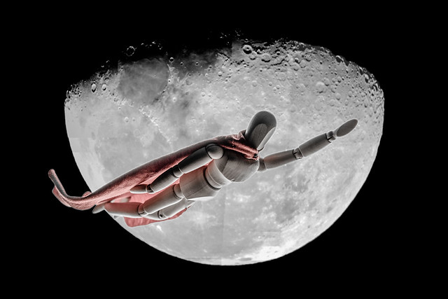 wooden superhero enters lunar orbit