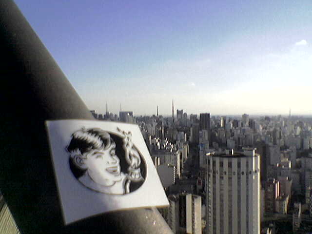 Guide du renard in Sao Paulo