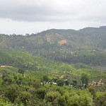 Sri Lanka - Haputale