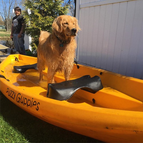 Spring cleaning the boat ... #dakotathedog  thought she was helping ... Counts right? #nucanoe #fingerlakes #FLX #springcleaning #paddlewash | by fuzzyguppies