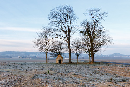 morning winter france cold landscape champagne hiver paysage fr froid matin champagneardenne sacy marne51 alsacechampagneardennelorraine alsacechampagneardennelorrain