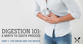 Digestion 101 // Part 1: The Brain and The Mouth | by Tasty Yummies