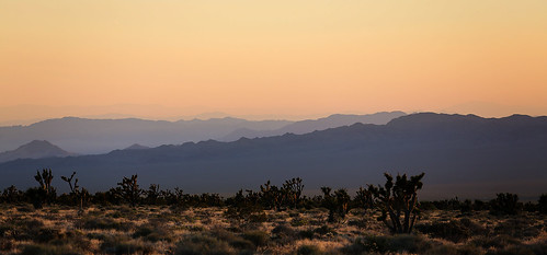 california sunset mountains joshuatree ranges np preserve ridges cindercones mojavedesert cima mojavenationalpreserve cedarcanyonroad nationalparksystem wyojones marlmountains