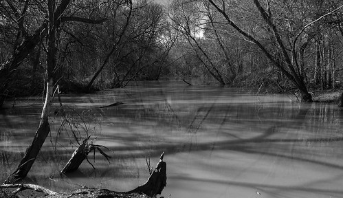 winter reflection nature water reflections shadows marsh sgs spysgrandson llakearrowhead