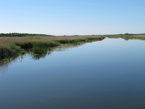 barca fiume uccelli animali polonia battello canale binari diga parconaturale elblag areaprotetta canaledielblag
