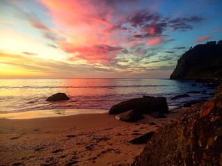 Amazing colours and sunsetting reflections :)  #upsticksandgo #exploring #beachlife #greensbeach #beach #travel #tasmania #tassiecoast #instagood #instatravel #instagram #discovertasmania #michfrost  #westhead #narawantapu #nationalpark #sunset #reflectio