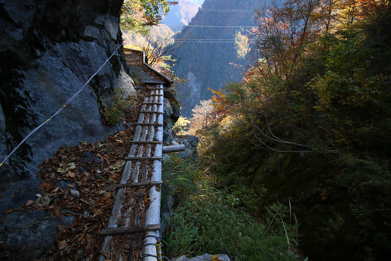 紅葉の水平歩道