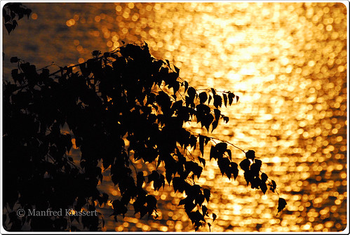 sunset summer germany bayern deutschland nikon sonnenuntergang sommer unterfranken lowerfranconia naturewatcher photospourtousphotosforall