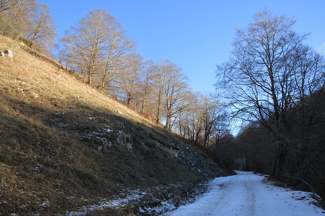 Mild winter in the Apennines (inverno mite sull'Appennino)