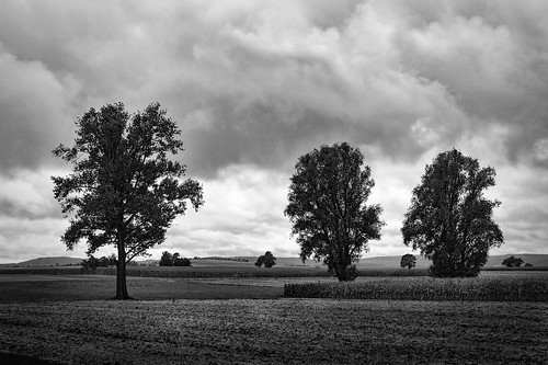 sky bw cloud tree monochrome clouds germany deutschland outdoor geotag bäume treescape ries schwaben 2015 süddeutschland em5 1235mm