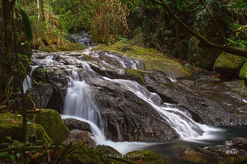 nature weather landscape rocks puertorico waterfalls elyunque cascada elyunquenationalforest