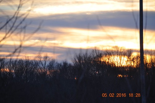 Sunset by King Kong 911, Sunsetsunset